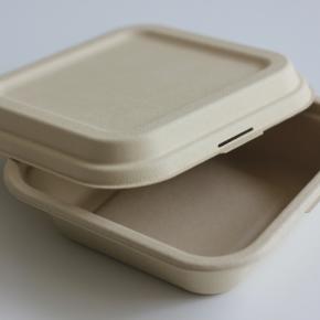 Disposable food container